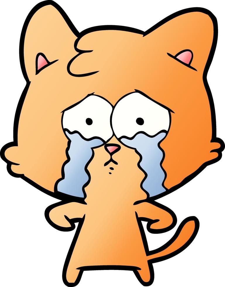gato llorando de dibujos animados vector