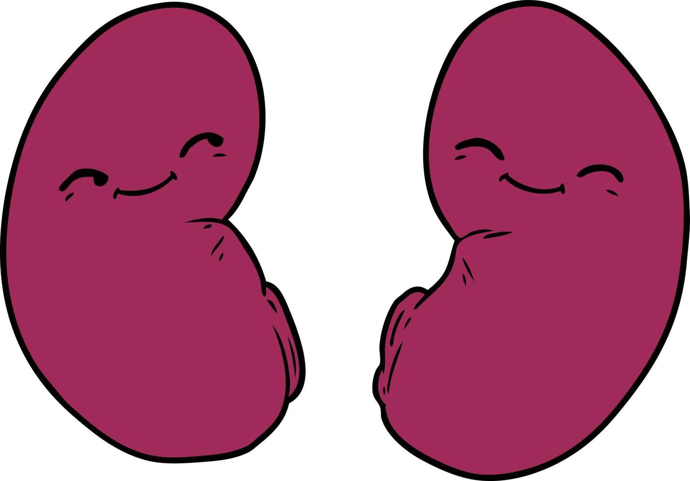 Vector cartoon kidneys