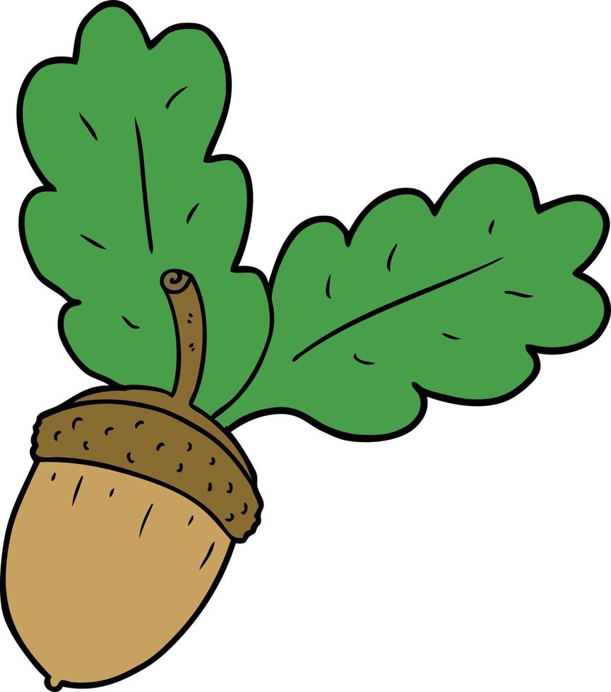 Vector cartoon acorn