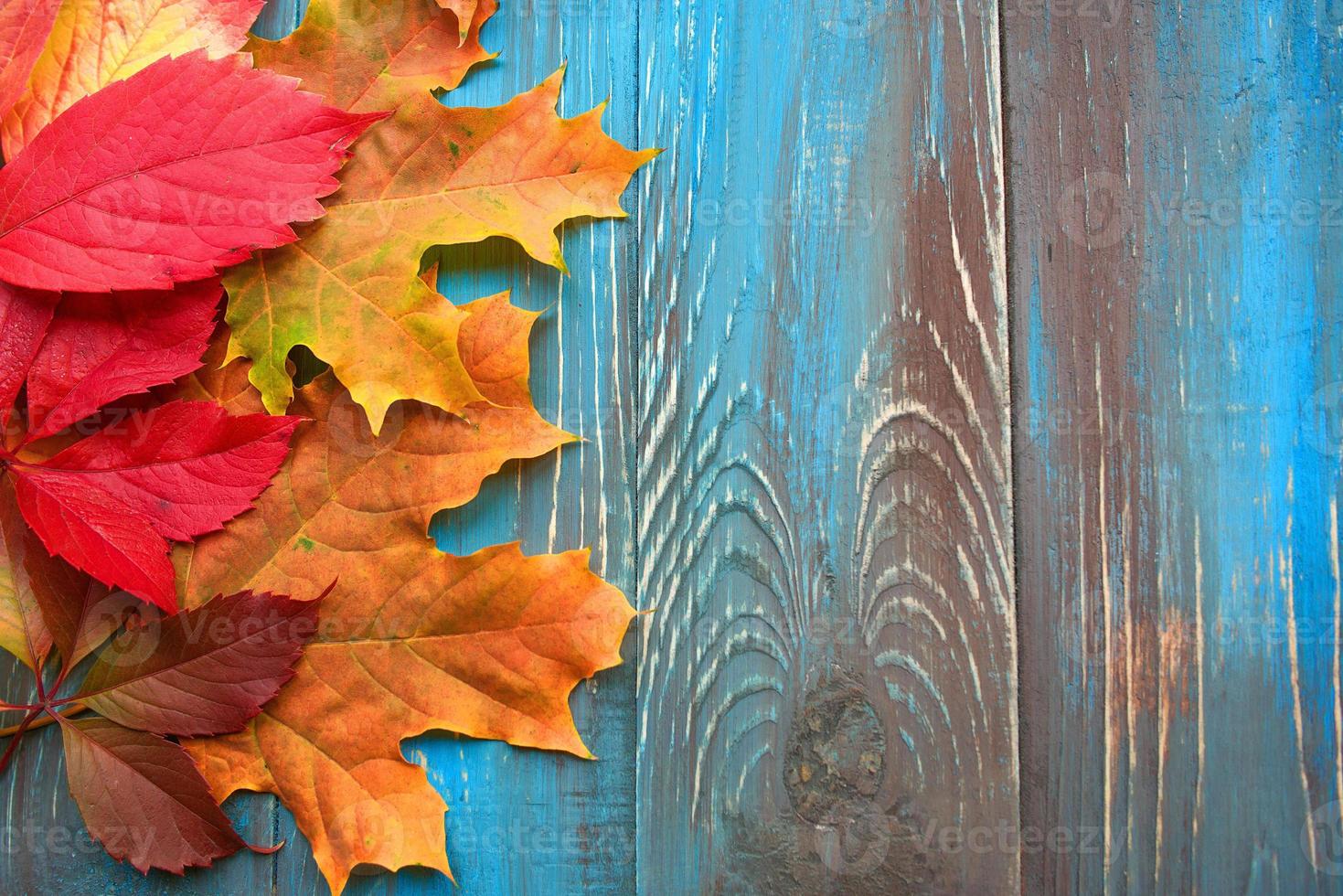 Frame of colorful autumn leaves on blue and brown wooden background photo