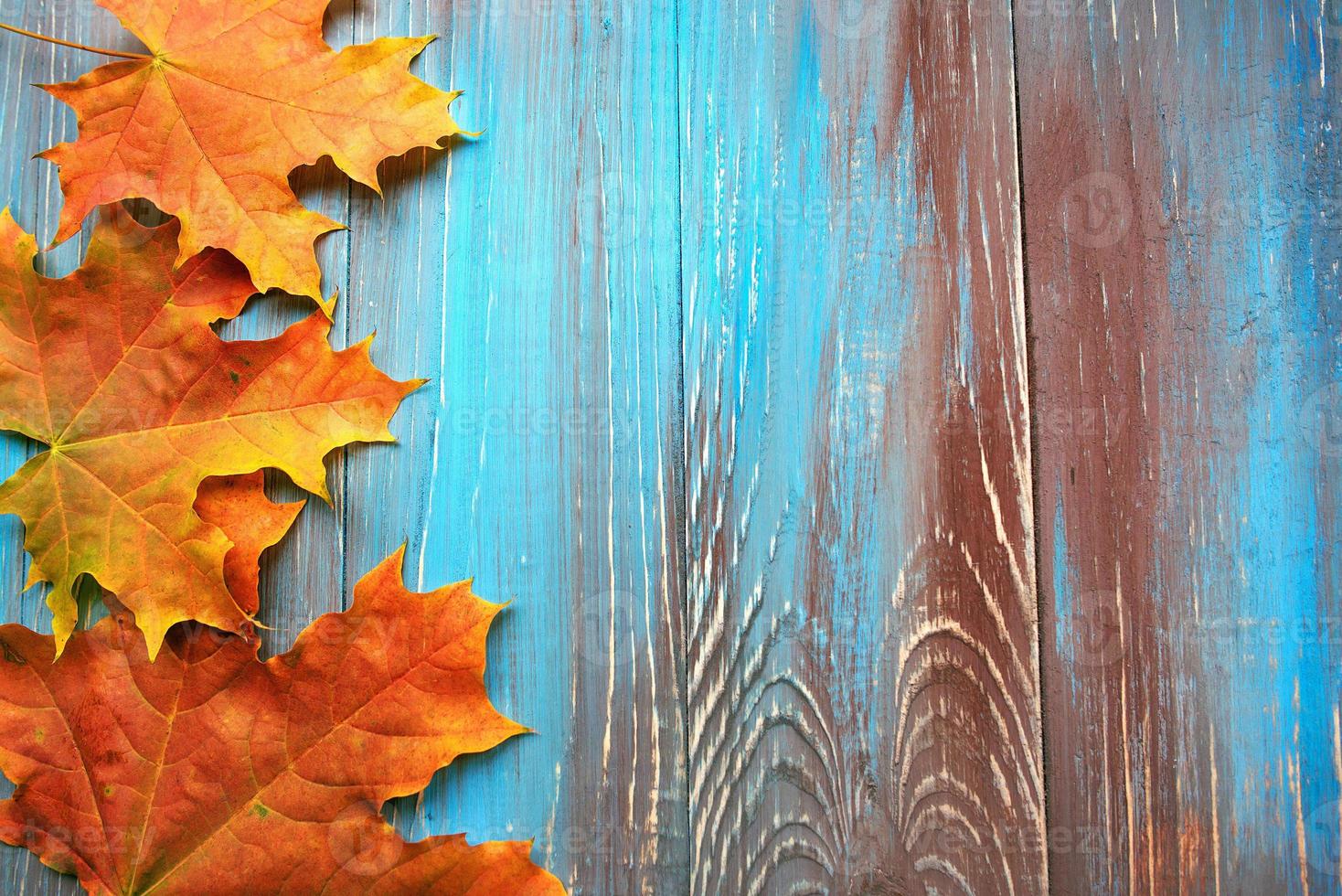 Frame of colorful autumn leaves on blue and brown wooden background photo