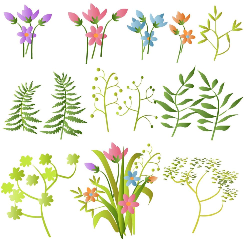 Grass Flowers Set vector