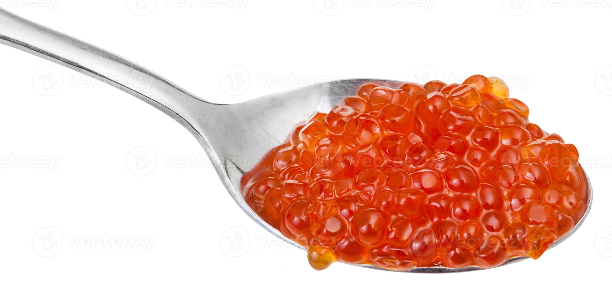 caviar rojo de salmón rojo pescado en cuchara foto