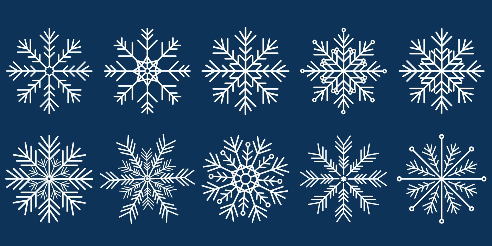 set of snowflakes vector