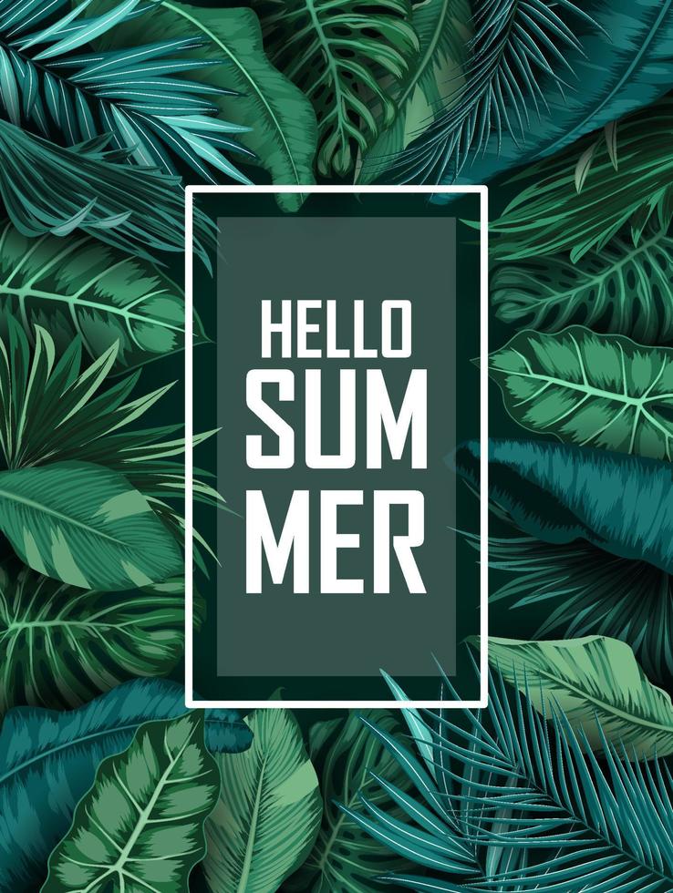 Hello Summer background with Tropical plants and birds collection set vector