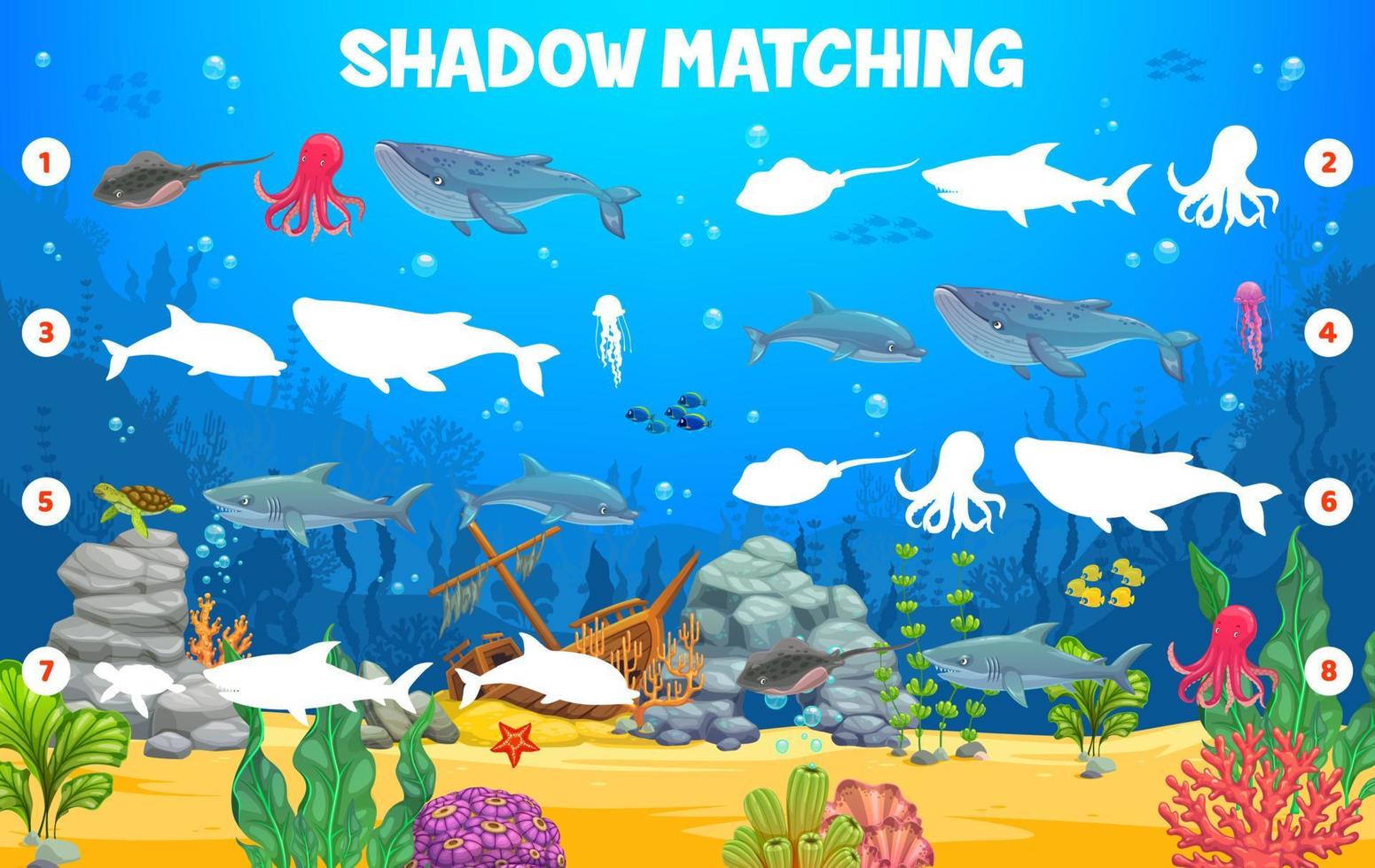 Underwater sea animals, fishes, shadow match game vector