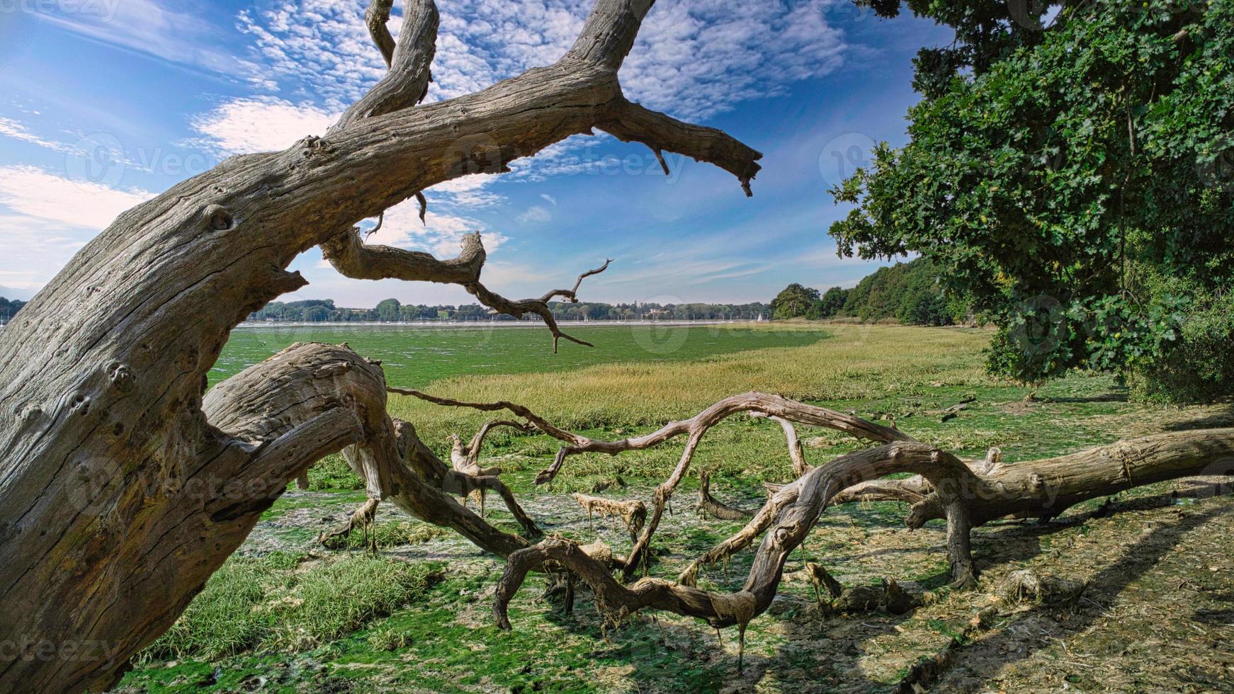 Low tide at Nacton Shores on the Orwell photo