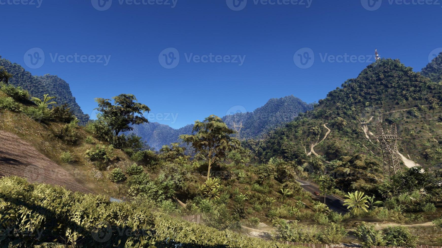 Rich natural forest area, streams, sky, mountains and various plants 3D rendering photo