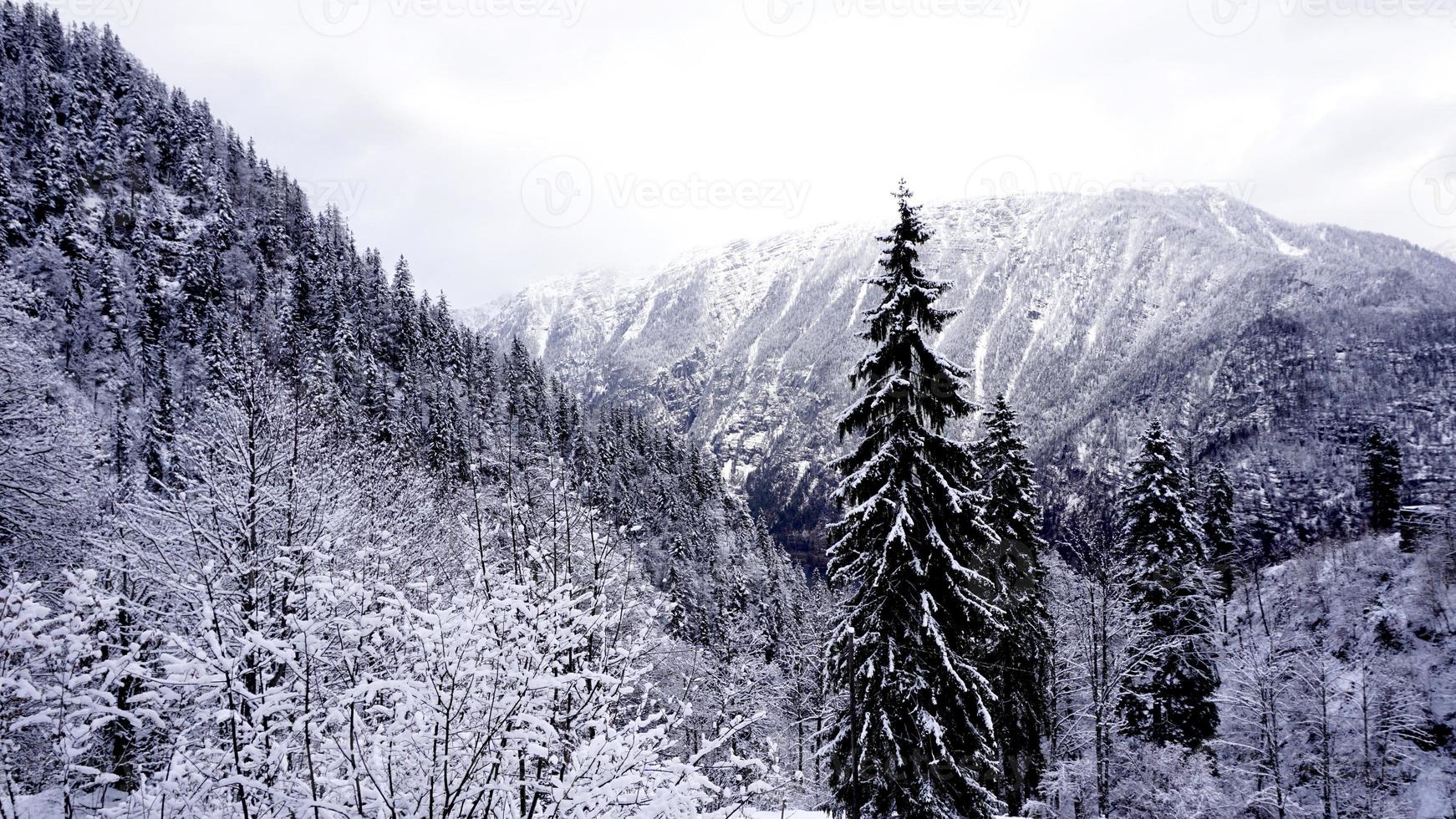 Scenery of forest valley dreamscape Hallstatt winter snow mountain landscape leads to the old salt mine of Hallstatt, Austria photo
