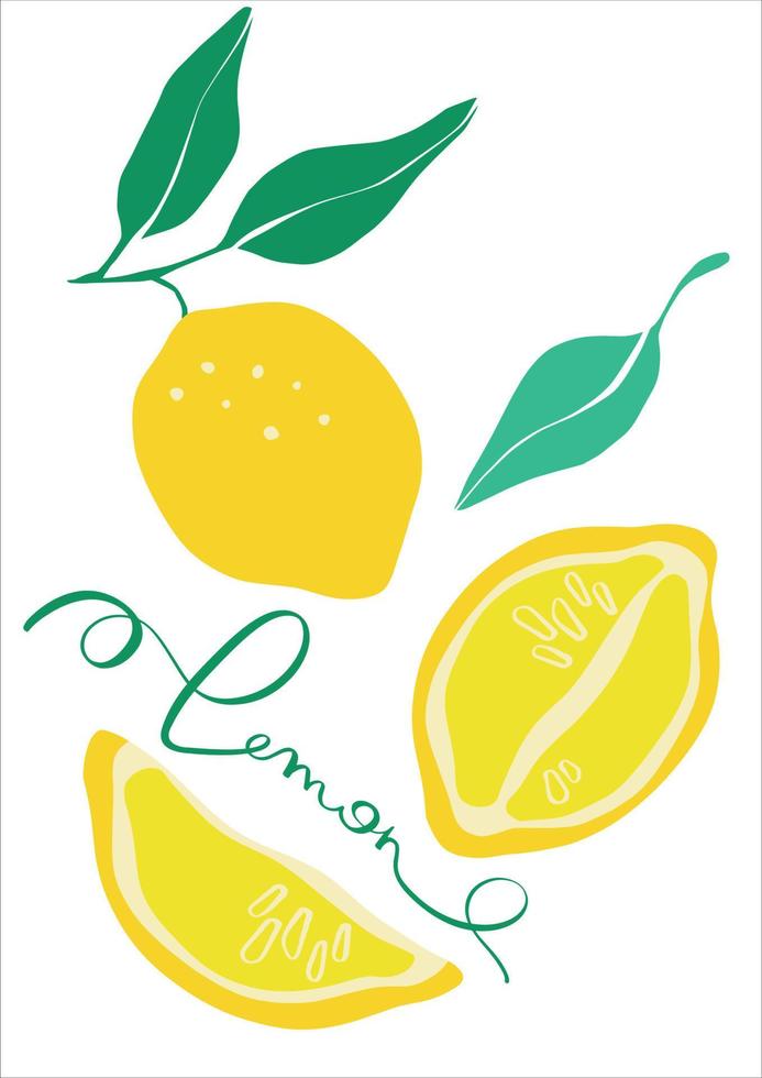 Lemon in modern style. Citrus on a white background with lettering. Modern contemporary vector illustration. print design.