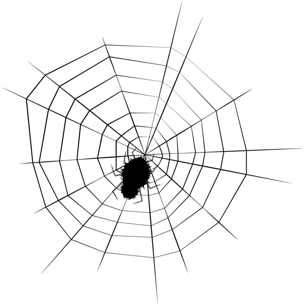 shaggy spider on a web in black silhouette vector