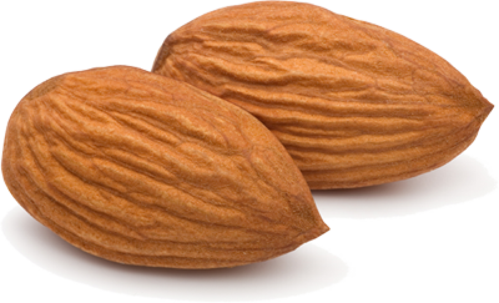 two almond nuts png