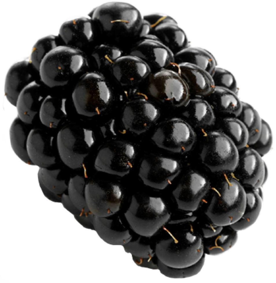 cut out of blackberry fruit png