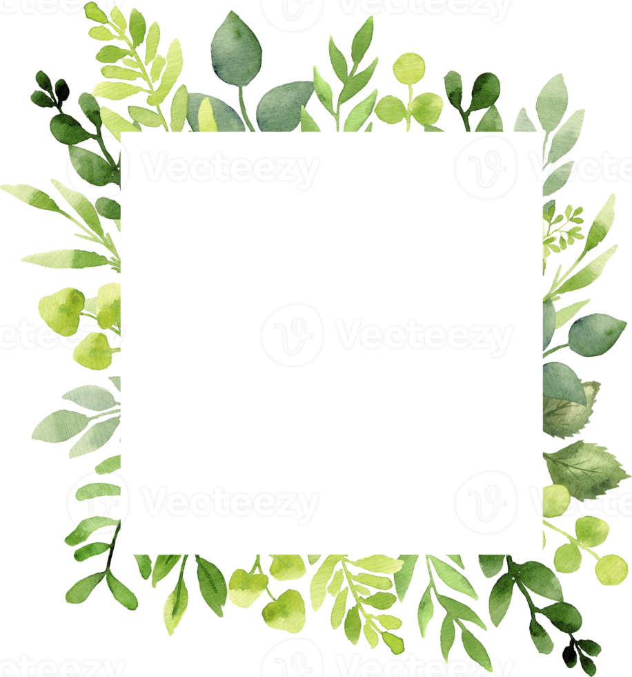 verdura estate telaio con verde le foglie e rami. mano disegno botanico illustrazione. floreale design elementi. Perfetto per nozze inviti, saluto carte, stampe, Imballaggio, manifesti e Di Più png