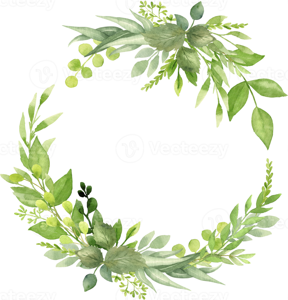 Greenery summer wreath with green leaves and branches. Hand drawing botanical illustration. Floral Design elements. Perfect for wedding invitations, greeting cards, prints, packing, posters and more png