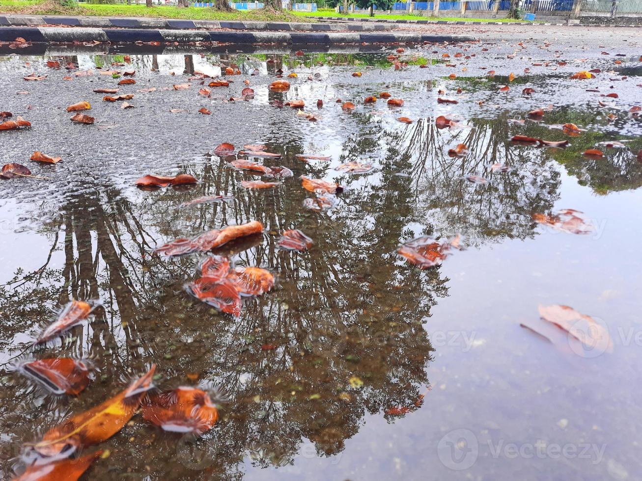 Muddy puddle after rain photo