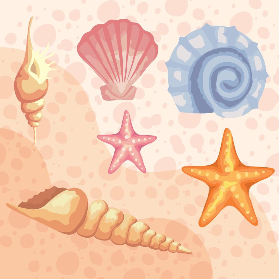bundle of six sea shells colors set pattern vector
