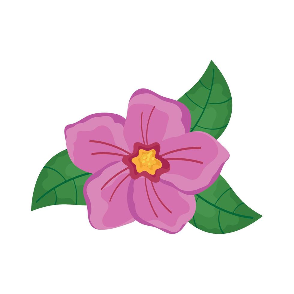 pink tropical flower vector