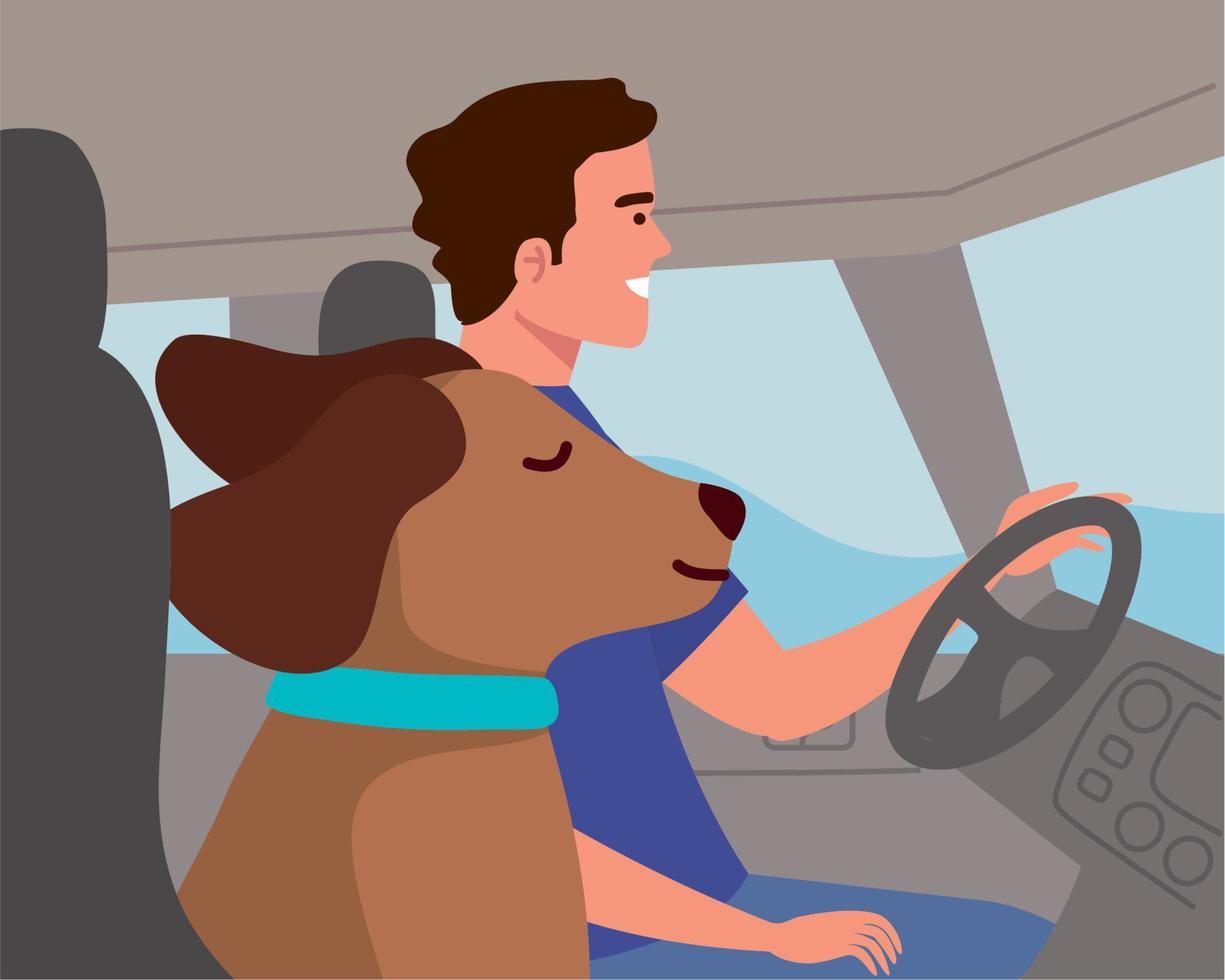boy driving car with dog vector