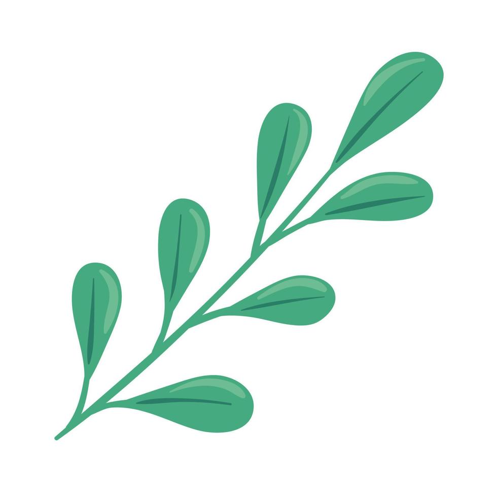 branch with leafs vector