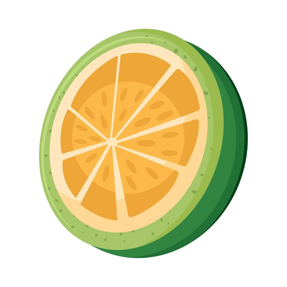 half orange citrus fruit vector