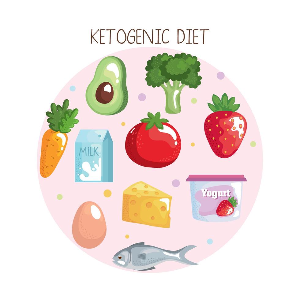 ketogenic dieting food vector