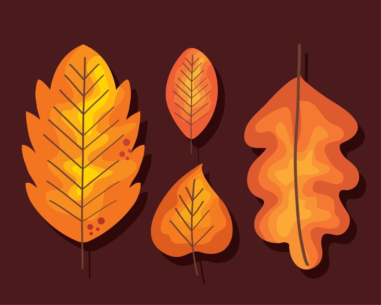 four autumn leafs vector