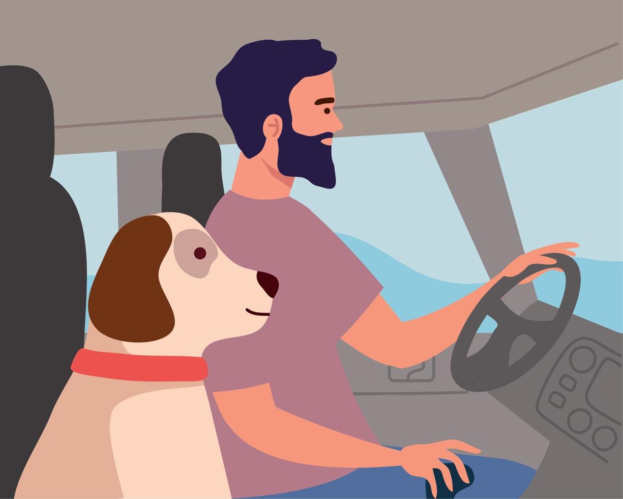 man driving car with dog vector