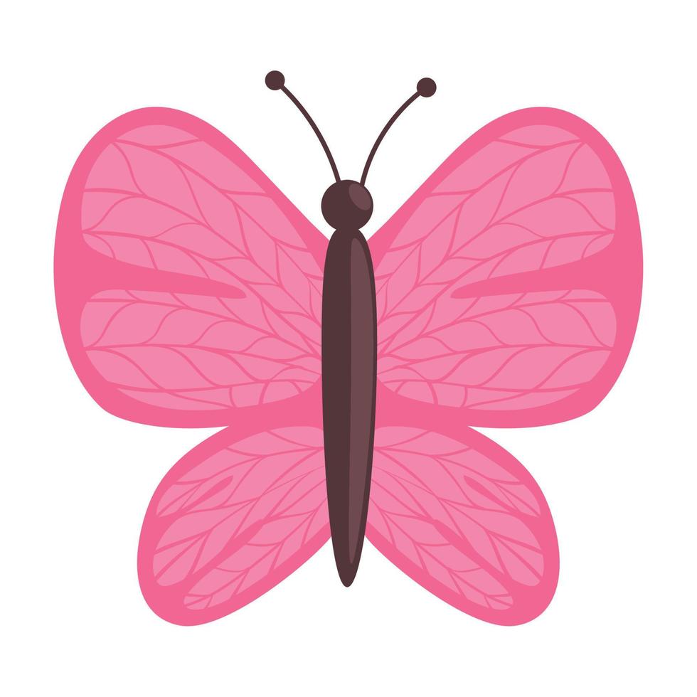 pink butterfly animal vector