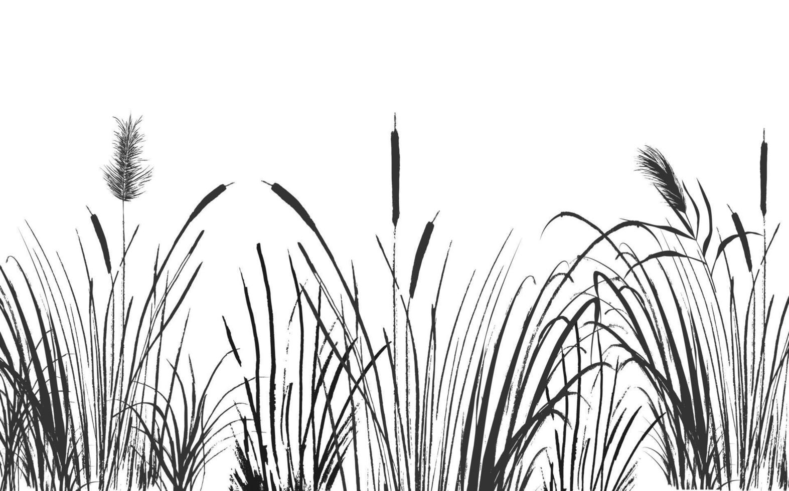 Image of a green reed or bulrush on a white background.Isolated vector drawing.
