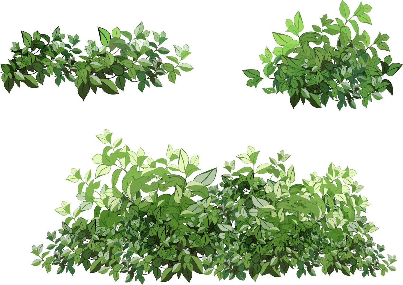 Set of ornamental green plant in the form of a hedge.Realistic garden shrub, seasonal bush, boxwood, tree crown bush foliage. vector