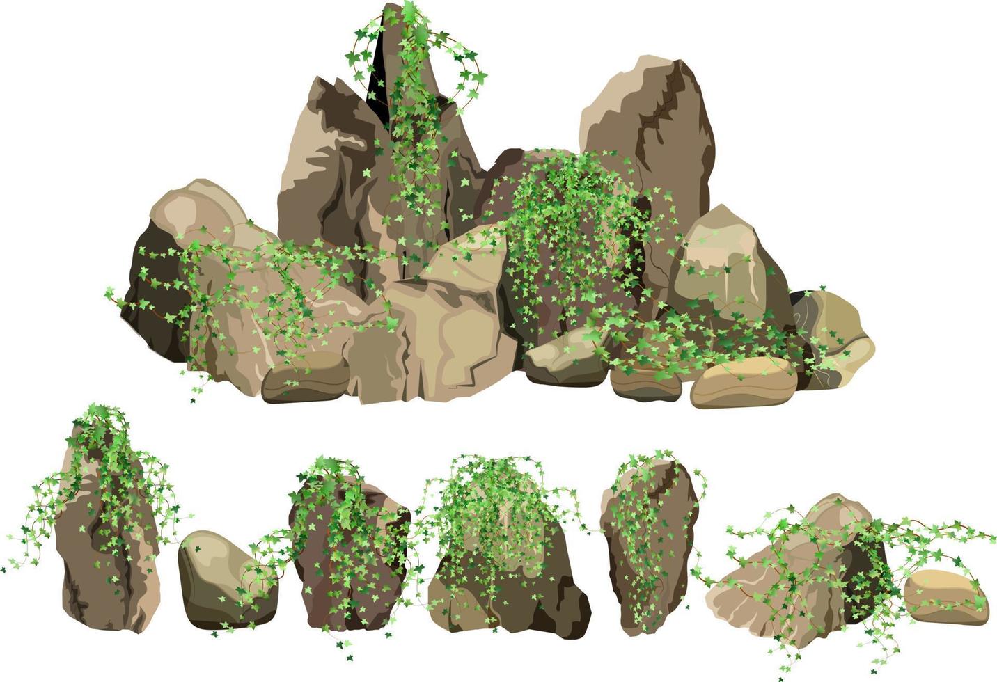 colección de piedras y plantas de diversas formas. guijarros costeros, adoquines, grava, minerales y formaciones geológicas. fragmentos de roca, cantos rodados y material de construcción. vector