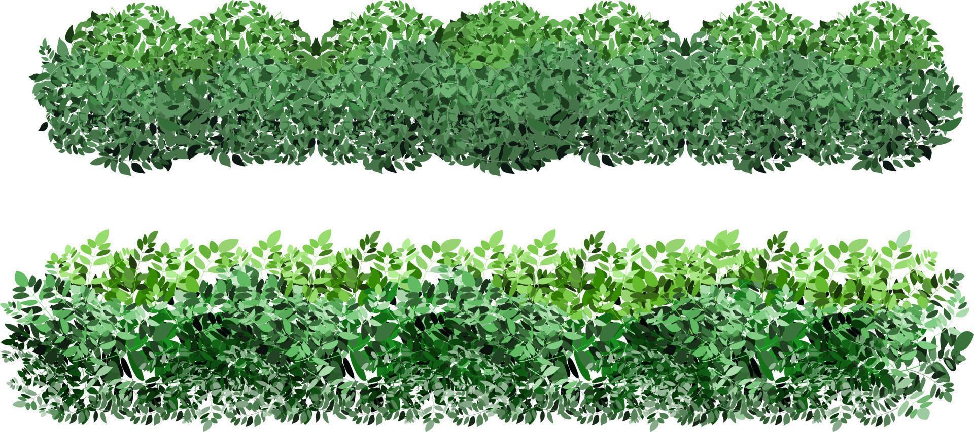 Set of ornamental green plant in the form of a hedge.Realistic garden shrub, seasonal bush, boxwood, tree crown bush foliage.For decorate of a park, a garden or a green fence. vector