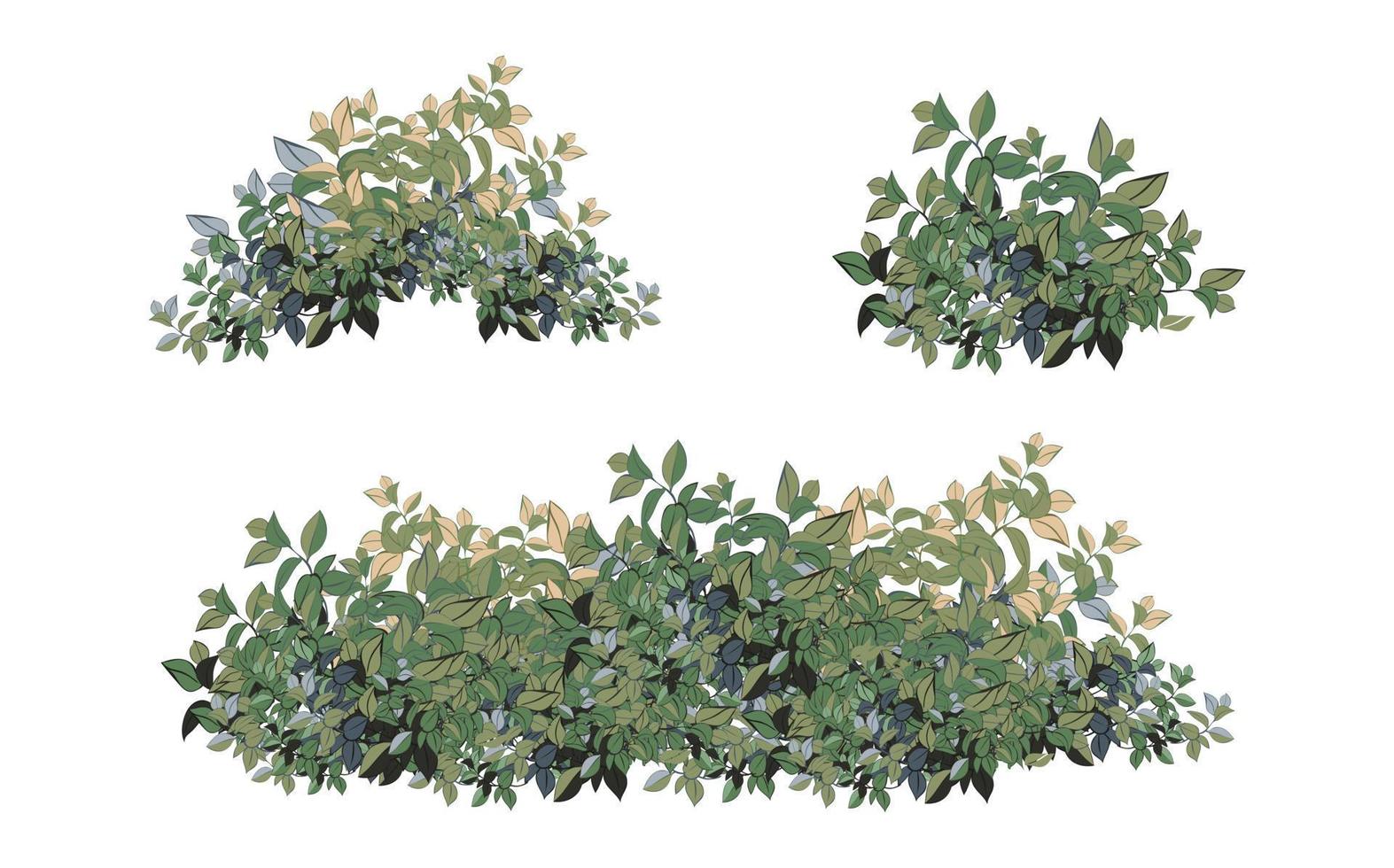 conjunto de plantas verdes ornamentales en forma de seto. arbusto de jardín realista, arbusto de temporada, boj, follaje de arbusto de corona de árbol. vector
