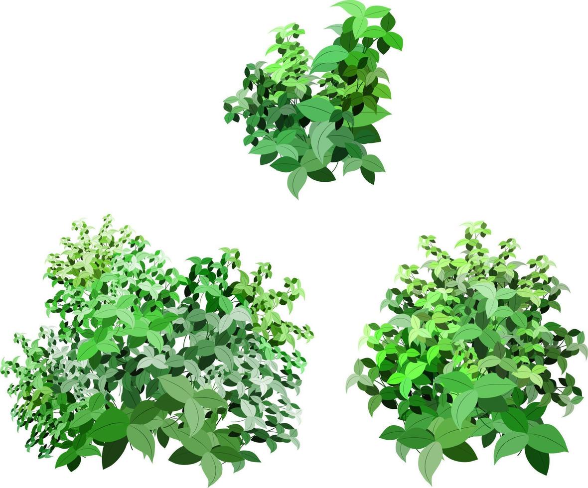 Set of ornamental green plant in the form of a hedge.Realistic garden shrub, seasonal bush, boxwood, tree crown bush foliage.For decorate of a park, a garden or a green fence. vector