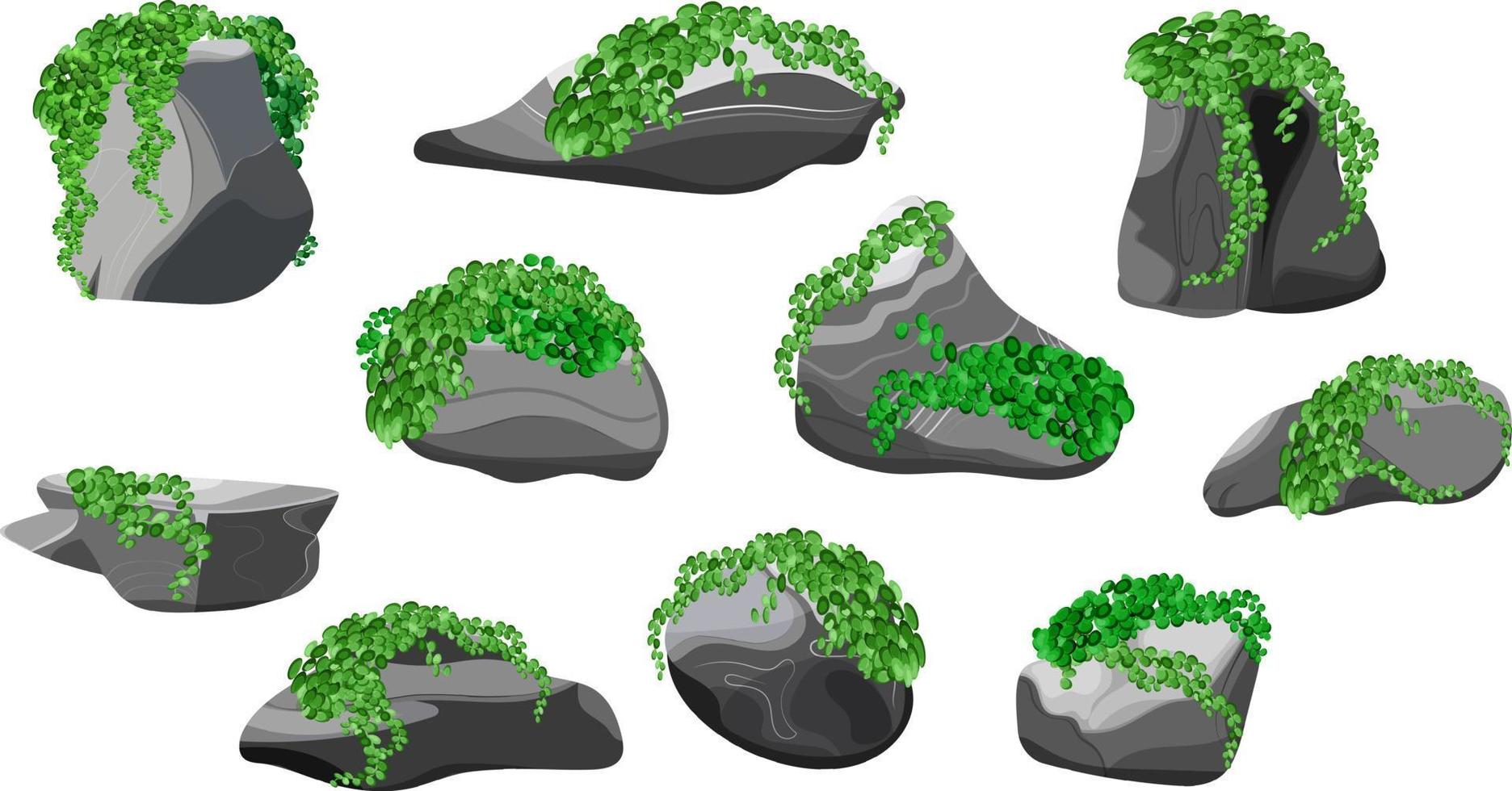 Collection of stones and plants of various shapes.Coastal pebbles,cobblestones,gravel,minerals and geological formations.Rock fragments,boulders and building material. vector