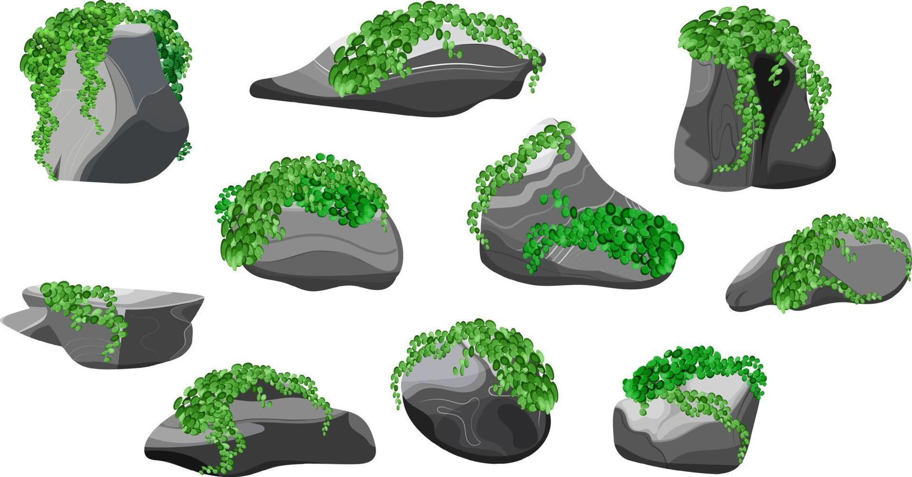 colección de piedras y plantas de diversas formas. guijarros costeros, adoquines, grava, minerales y formaciones geológicas. fragmentos de roca, cantos rodados y material de construcción. vector