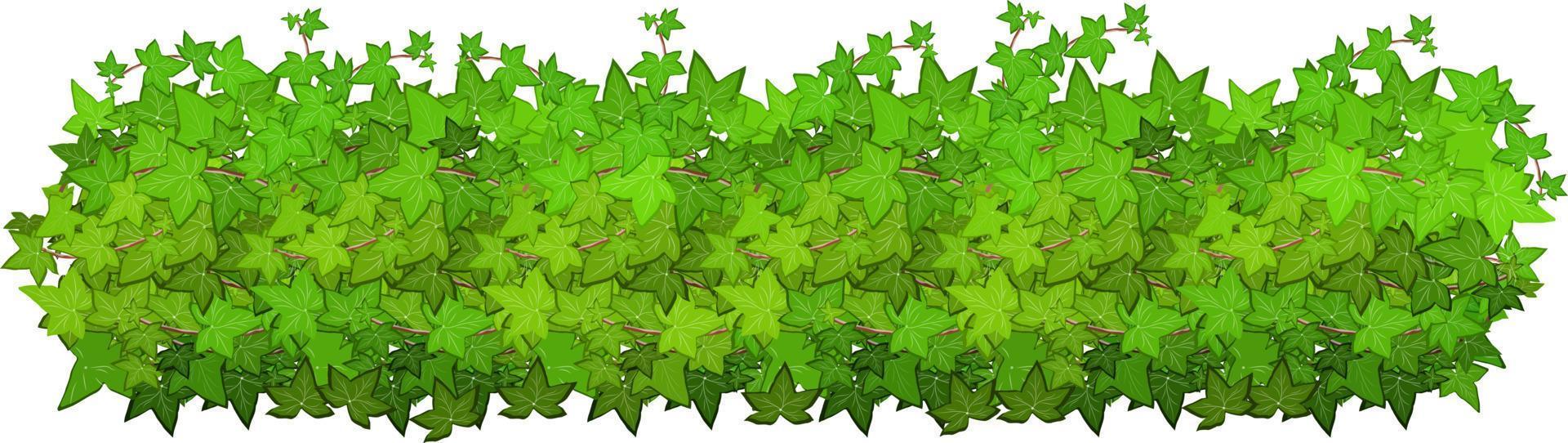 Set of ornamental green plant in the form of a hedge.Realistic garden shrub, seasonal bush, boxwood, tree crown bush foliage.For decorate of a park, a garden or a green fence. vector