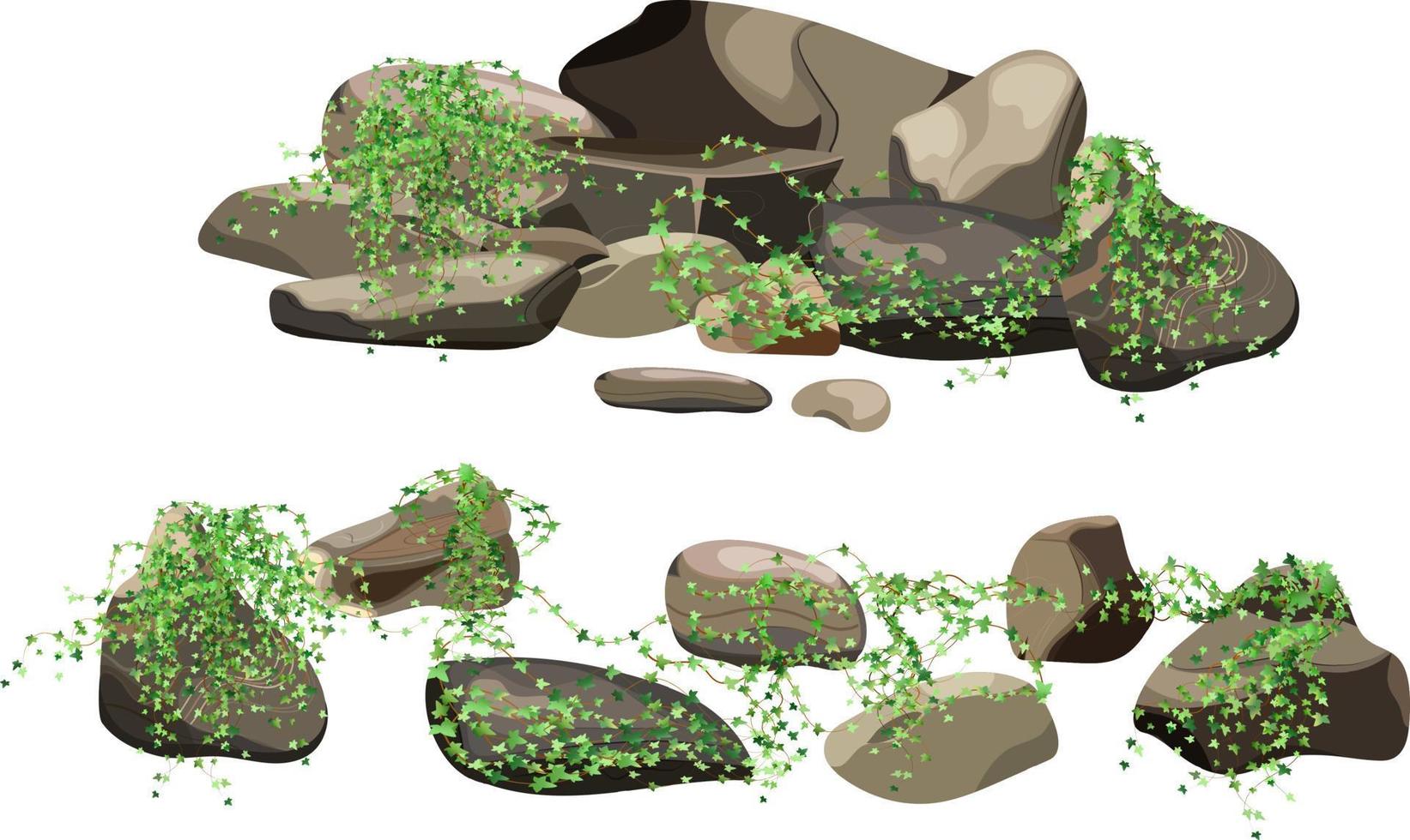 Collection of stones and plants of various shapes.Coastal pebbles,cobblestones,gravel,minerals and geological formations.Rock fragments,boulders and building material. vector