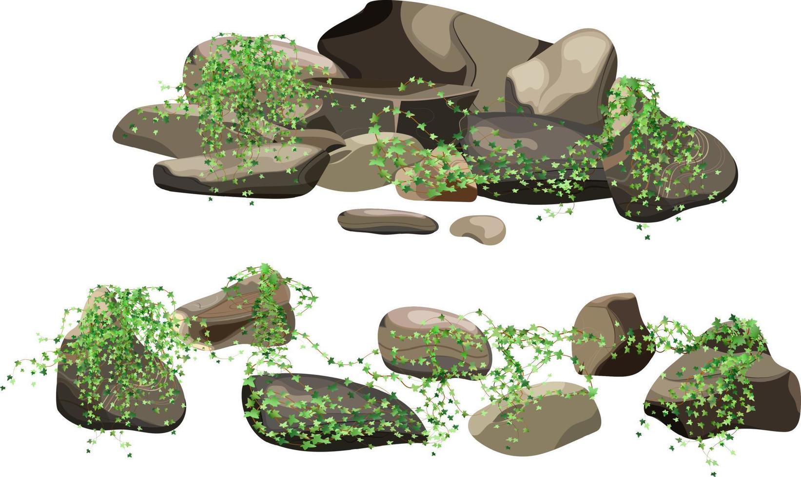 colección de piedras y plantas de diversas formas. guijarros costeros, adoquines, grava, minerales y formaciones geológicas. fragmentos de roca, cantos rodados y material de construcción. vector