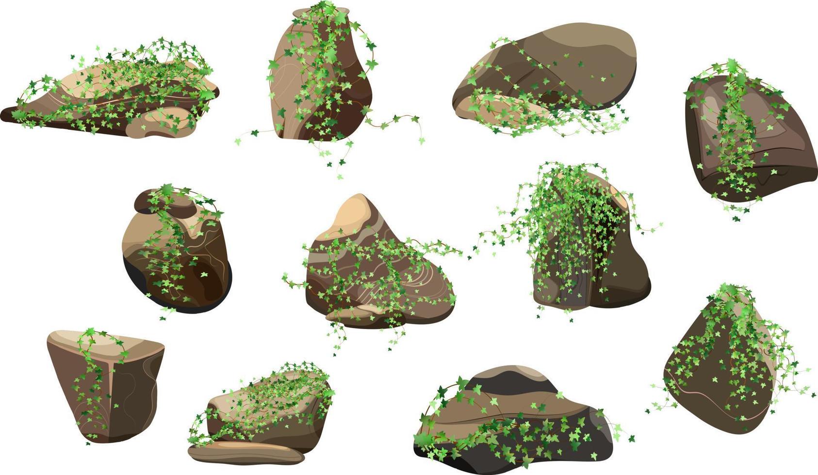 Collection of stones and plants of various shapes.Coastal pebbles,cobblestones,gravel,minerals and geological formations.Rock fragments,boulders and building material. vector