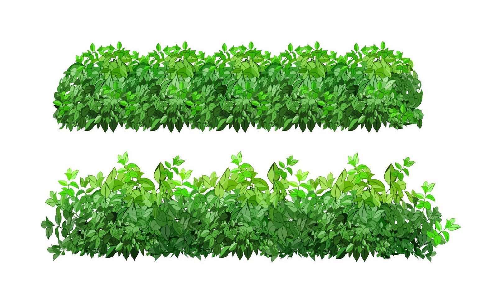 Set of ornamental green plant in the form of a hedge.Realistic garden shrub, seasonal bush, boxwood, tree crown bush foliage. vector