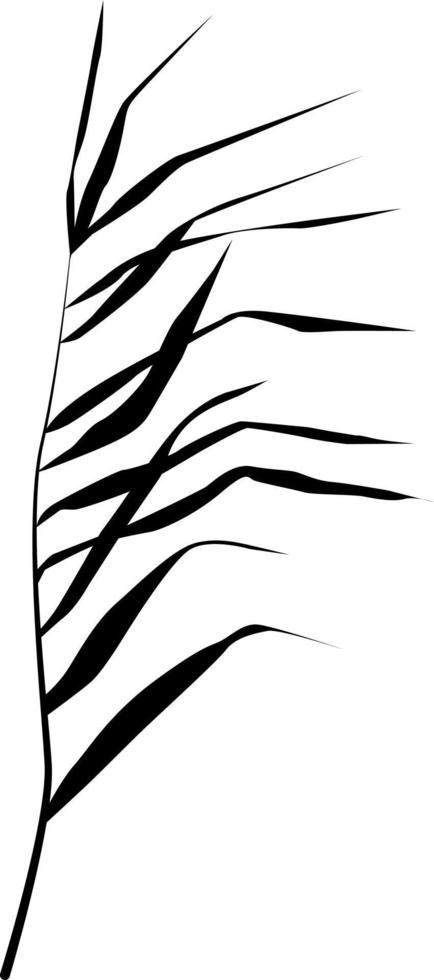 Image of a green reed or bulrush on a white background.Isolated vector drawing.