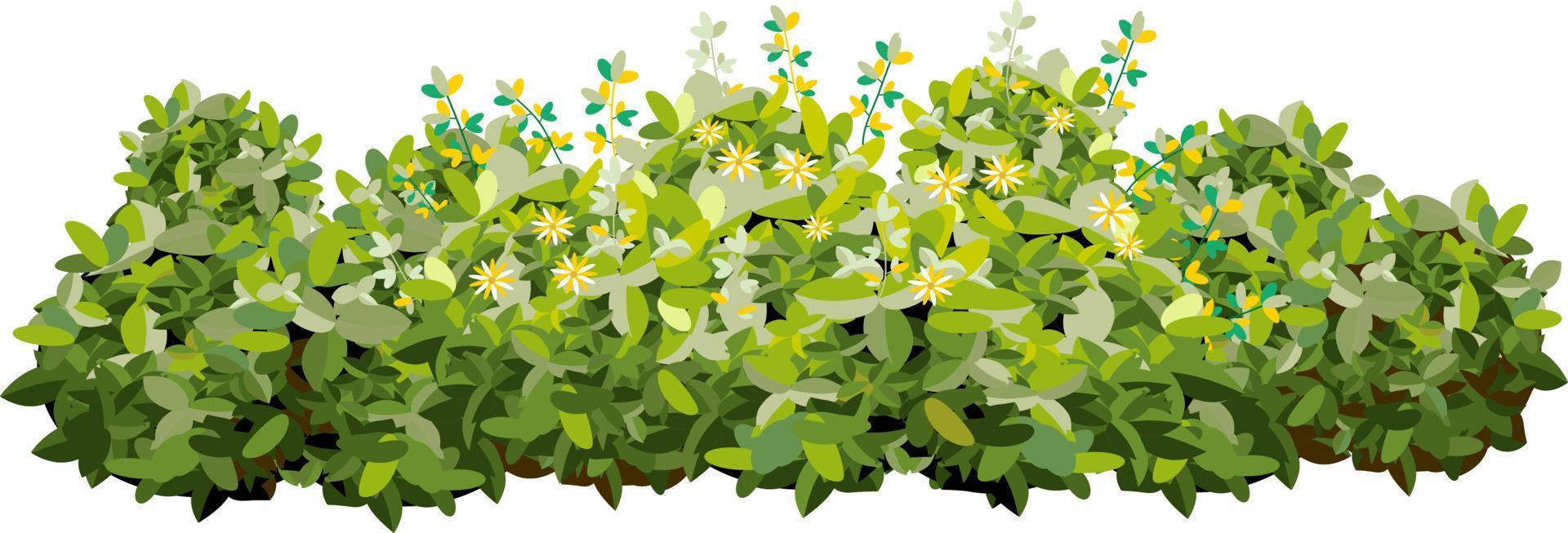 Set of ornamental green plant in the form of a hedge.Realistic garden shrub, seasonal bush, boxwood, tree crown bush foliage. vector