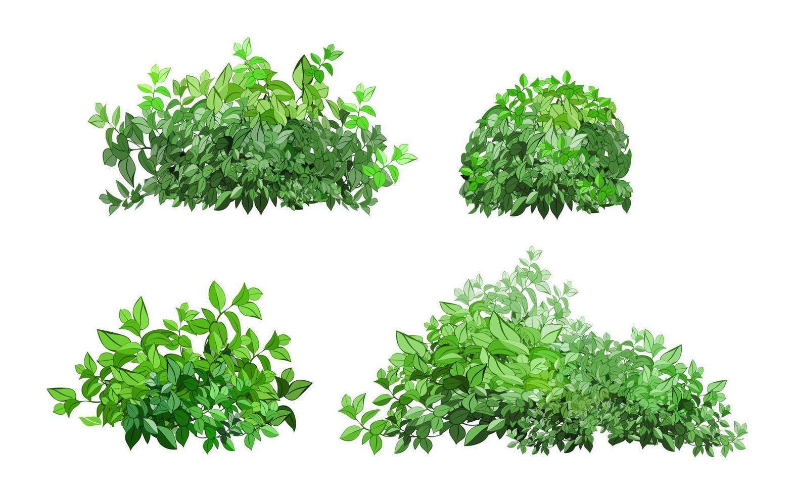 Set of ornamental green plant in the form of a hedge.Realistic garden shrub, seasonal bush, boxwood, tree crown bush foliage. vector