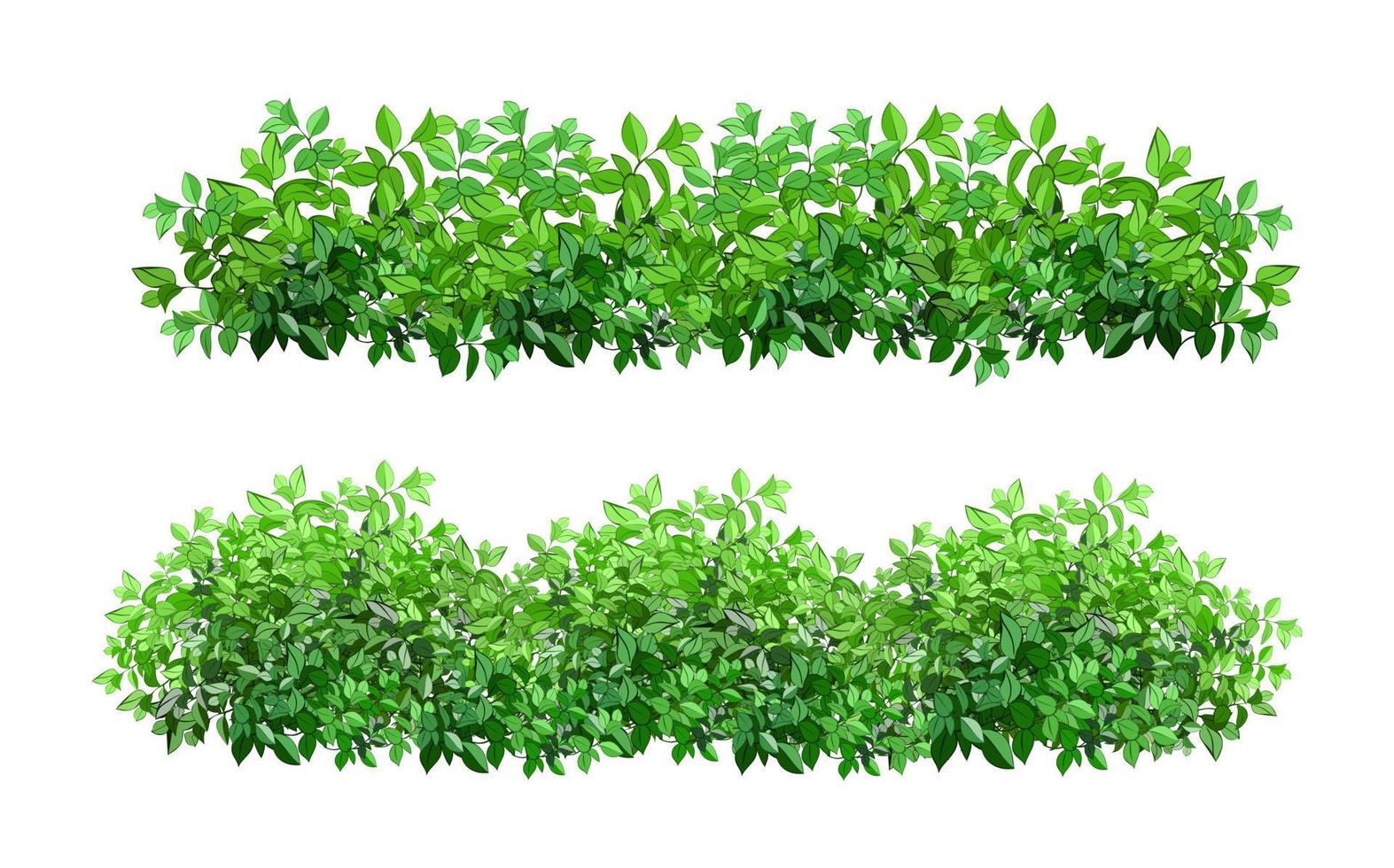 Set of ornamental green plant in the form of a hedge.Realistic garden shrub, seasonal bush, boxwood, tree crown bush foliage. vector