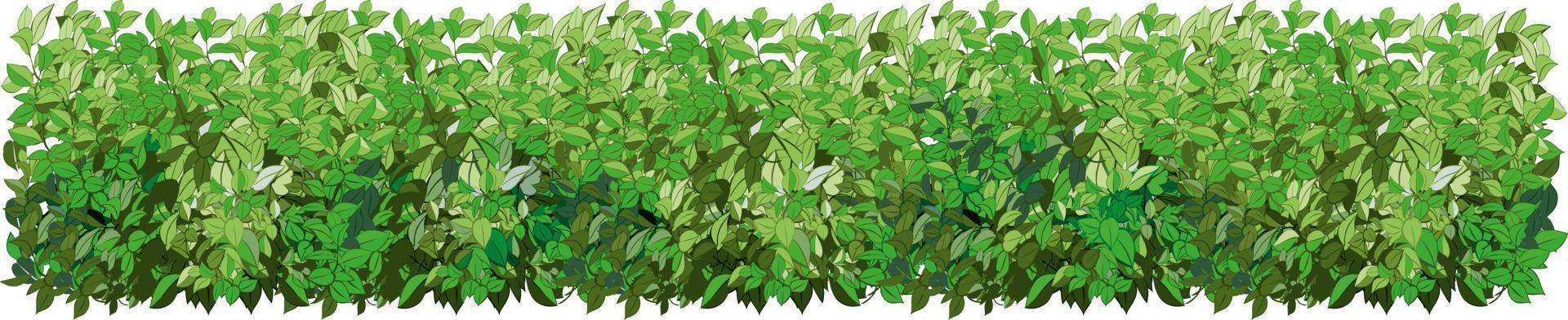 Set of ornamental green plant in the form of a hedge.Realistic garden shrub, seasonal bush, boxwood, tree crown bush foliage. vector