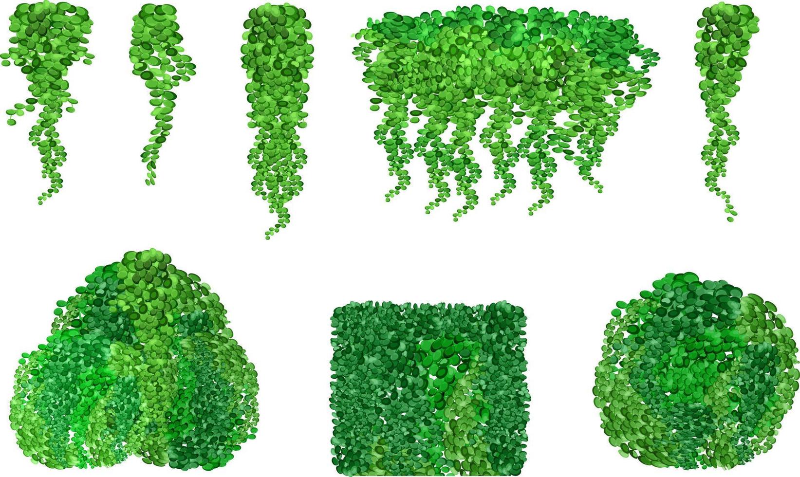 Set of ornamental green plant in the form of a hedge.Realistic garden shrub, seasonal bush, boxwood, tree crown bush foliage.For decorate of a park, a garden or a green fence. vector
