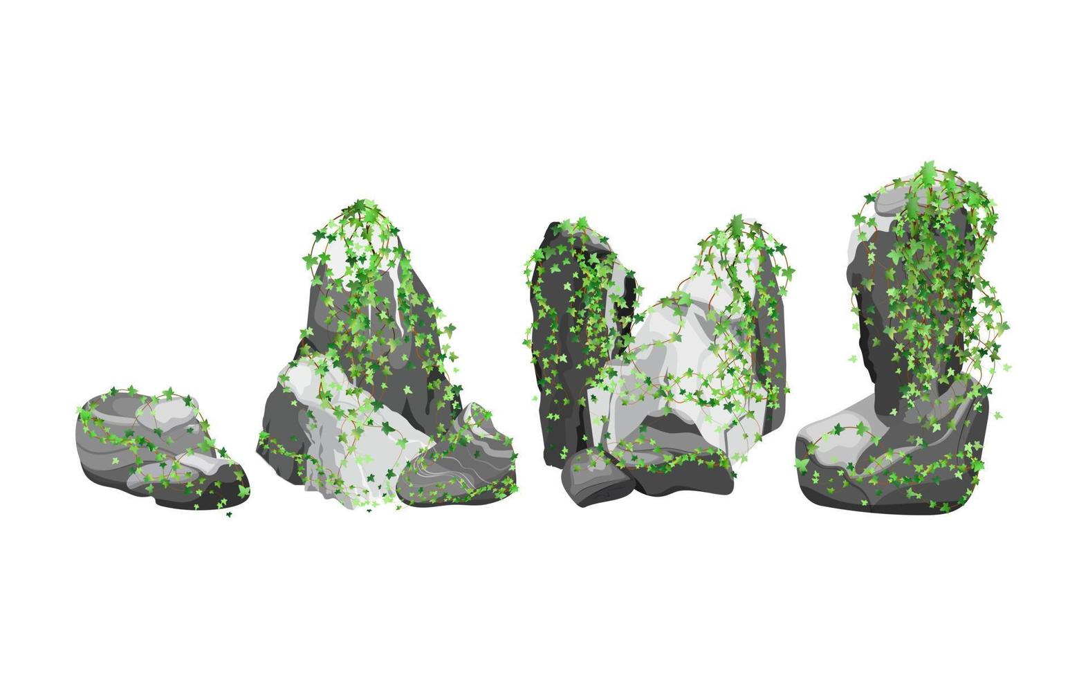 colección de piedras y plantas de diversas formas. guijarros costeros, adoquines, grava, minerales y formaciones geológicas. fragmentos de roca, cantos rodados y material de construcción. vector