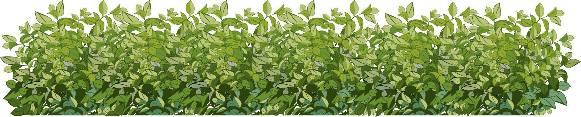 Set of ornamental green plant in the form of a hedge.Realistic garden shrub, seasonal bush, boxwood, tree crown bush foliage. vector